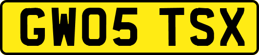 GW05TSX