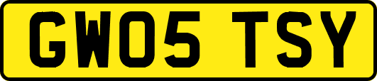 GW05TSY