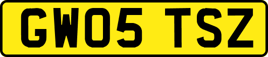 GW05TSZ