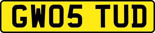 GW05TUD