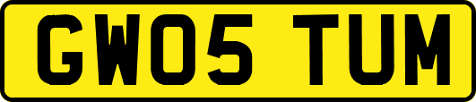 GW05TUM