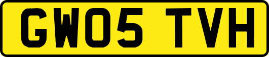 GW05TVH
