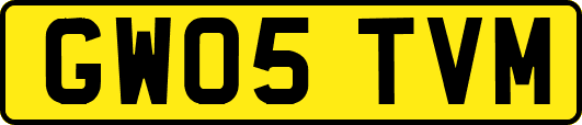 GW05TVM