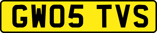 GW05TVS