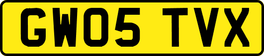 GW05TVX
