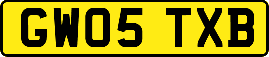 GW05TXB