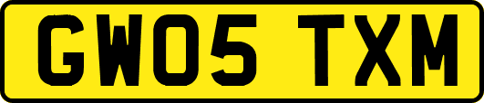 GW05TXM