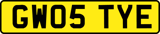 GW05TYE