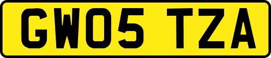 GW05TZA