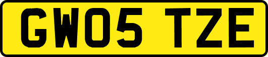 GW05TZE
