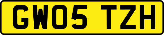 GW05TZH