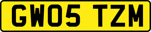 GW05TZM