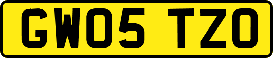 GW05TZO
