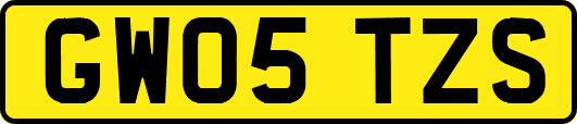 GW05TZS