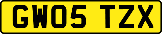 GW05TZX