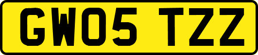 GW05TZZ