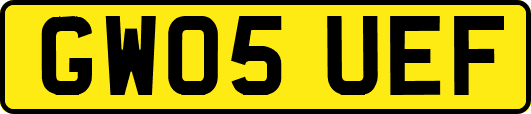 GW05UEF