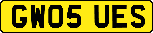 GW05UES