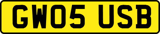GW05USB
