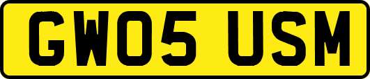 GW05USM