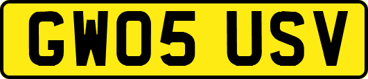 GW05USV