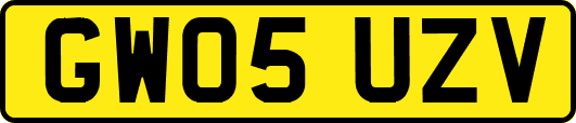 GW05UZV