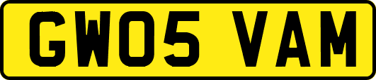 GW05VAM