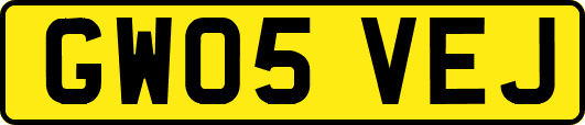 GW05VEJ