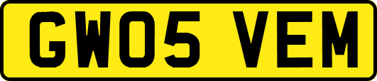 GW05VEM