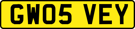 GW05VEY