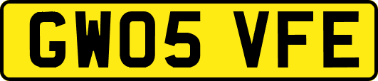 GW05VFE