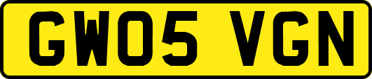 GW05VGN