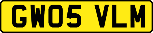 GW05VLM