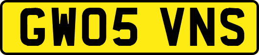 GW05VNS