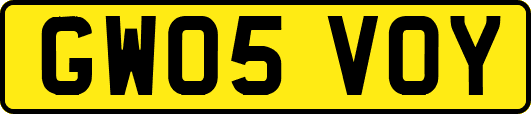GW05VOY