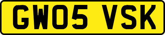 GW05VSK