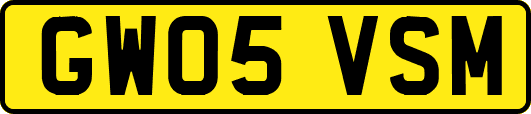 GW05VSM