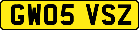 GW05VSZ