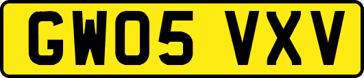 GW05VXV