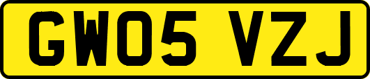 GW05VZJ