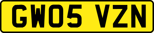 GW05VZN