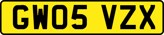 GW05VZX