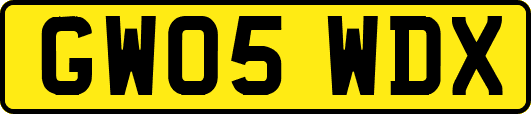 GW05WDX