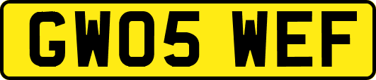GW05WEF
