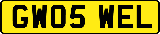 GW05WEL