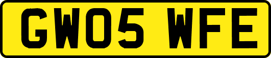 GW05WFE