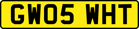 GW05WHT