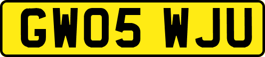 GW05WJU