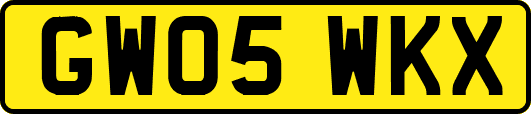 GW05WKX