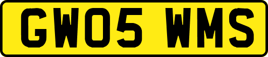 GW05WMS